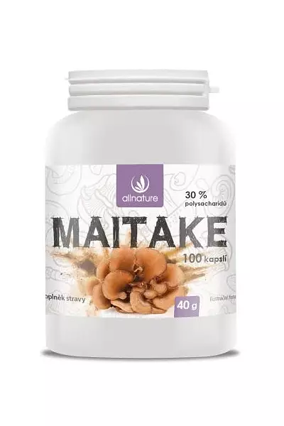 Maitake – Allnature photo