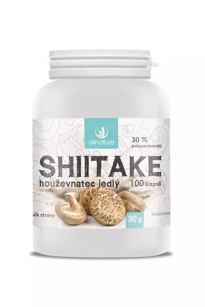 Shiitake – Allnature photo