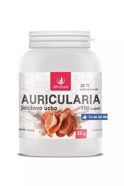 Auricularia – Allnature photo