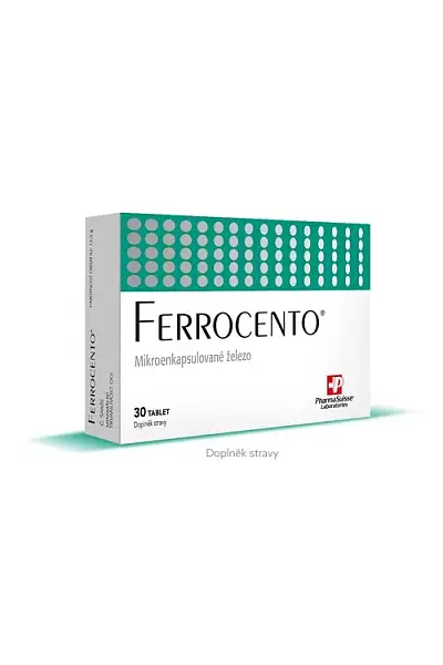 Ferrocento photo