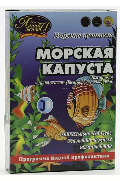 Mořská řasa Laminárie photo