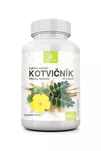 Kotvičník photo