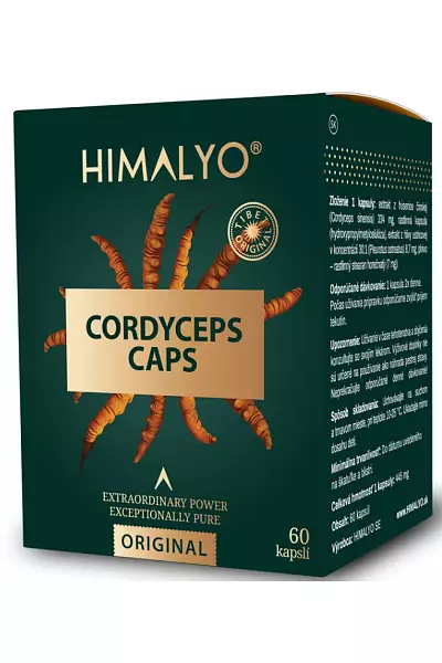 Cordyceps caps photo