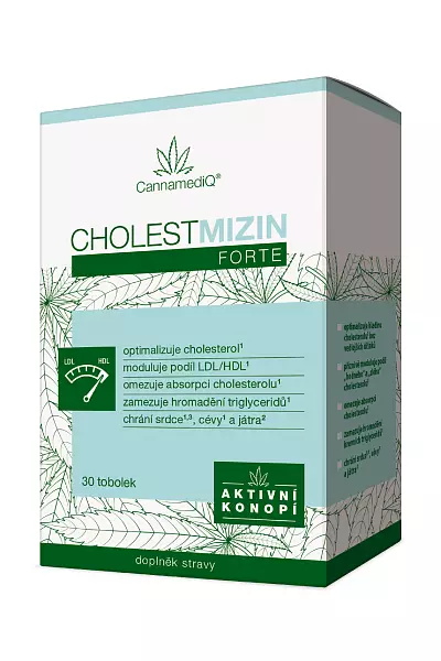 Cholestmizin forte photo