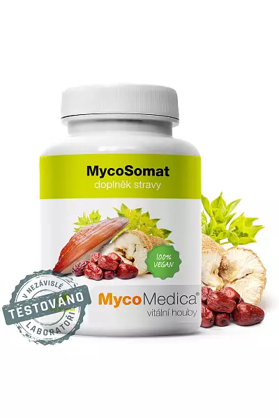 MycoSomat photo