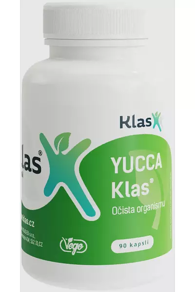 YUCCA Klas photo