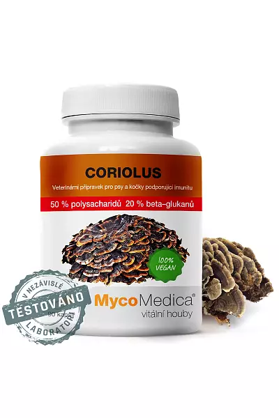 Coriolus 50 % photo
