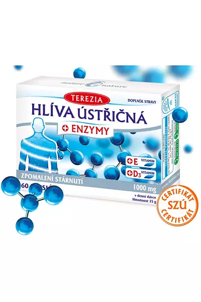 Hlíva ústřičná + enzymy photo