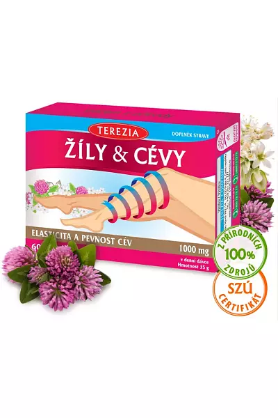 Žíly & Cévy photo