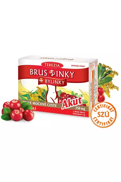 BrusLinky + bylinky AKUT photo