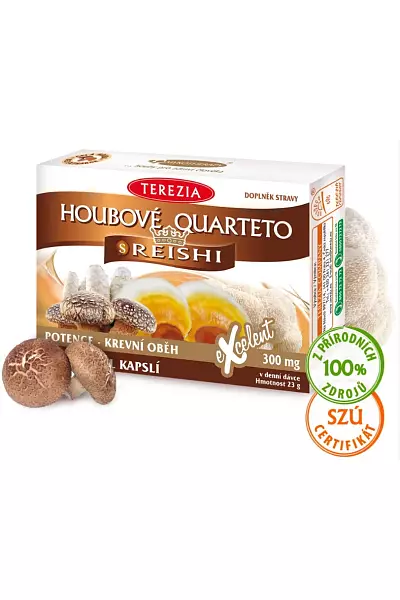 Houbové Quarteto s reishi photo