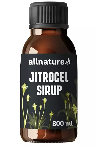Jitrocelový sirup photo