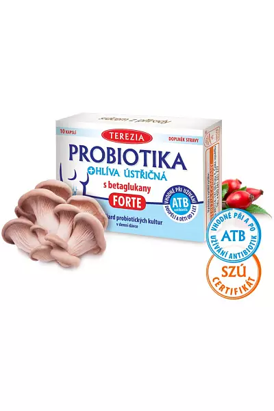 PROBIOTIKA + hlíva ústřičná s betaglukany FORTE photo
