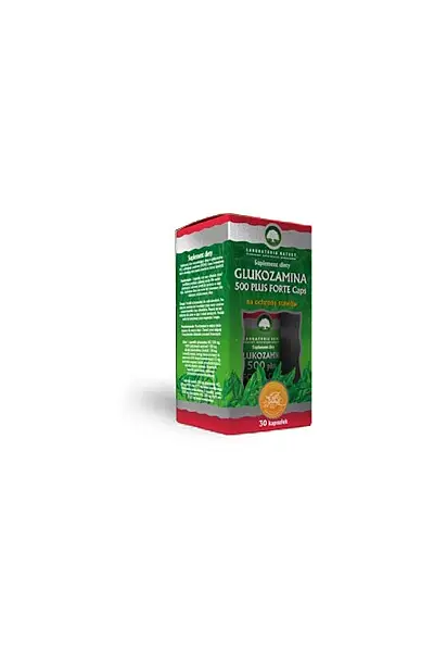 Glukosamin 500 Plus Forte photo