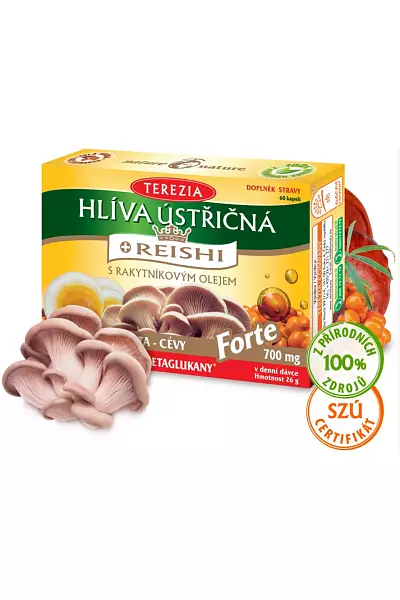 Hlíva ústřičná + REISHI Forte photo