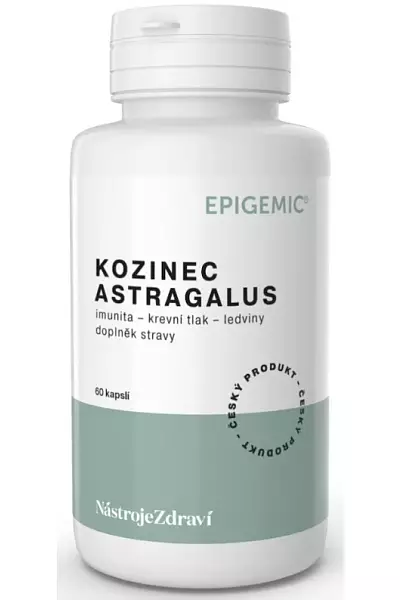 Kozinec Astragalus Epigemic® photo