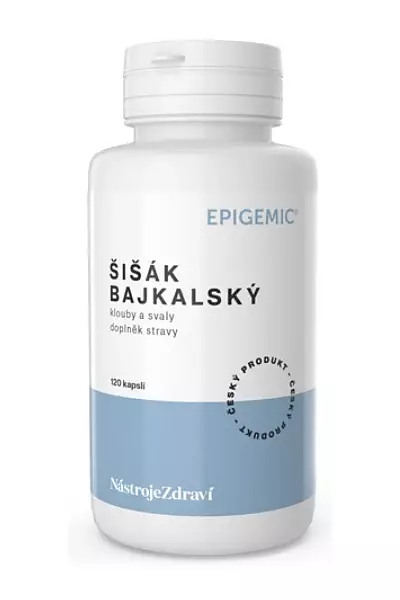 Šišák bajkalský kořen Epigemic® photo