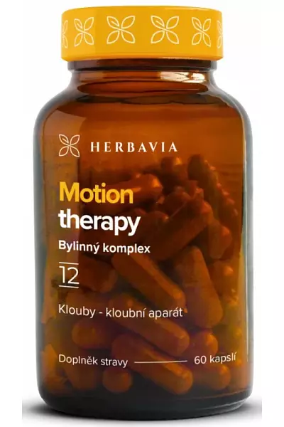 Motion Therapy photo