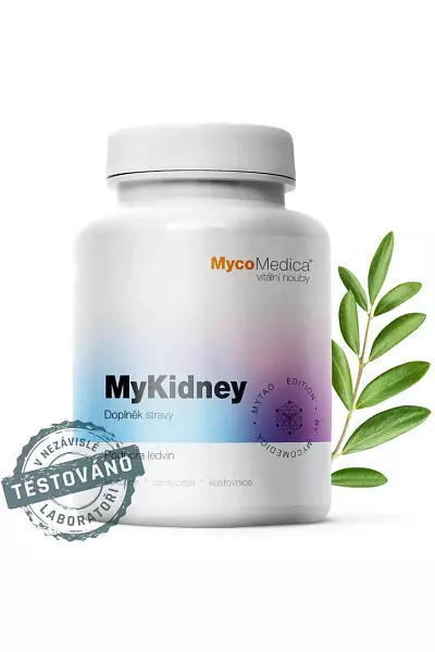 MyKidney photo