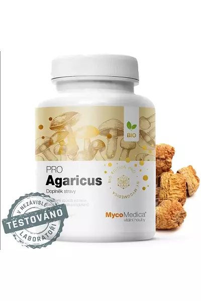 Agaricus Pro photo