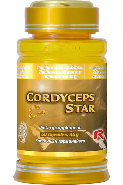 CORDYCEPS STAR photo