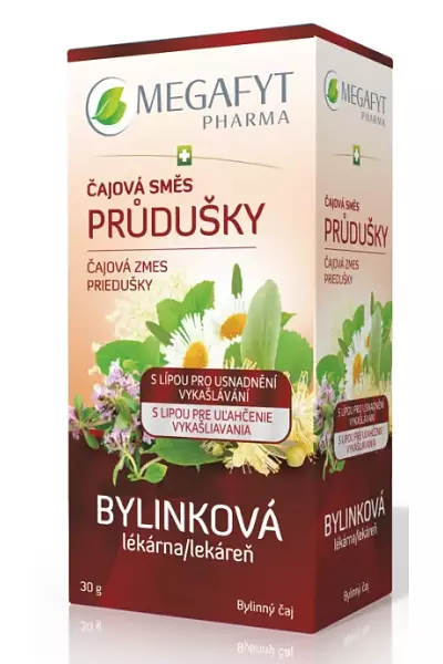 Průdušky photo