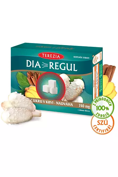 Diaregul Terezia photo