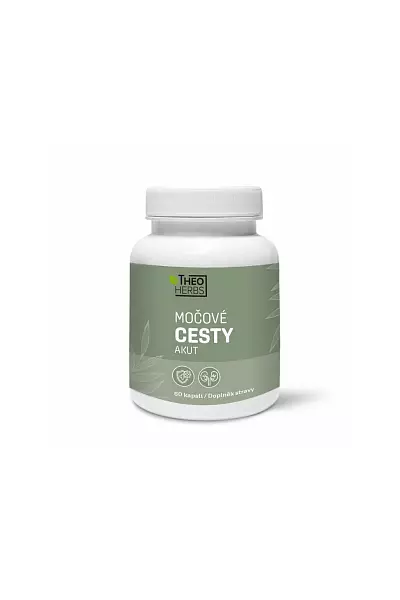 Močové cesty akut photo