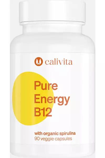 Pure Energy B12 photo