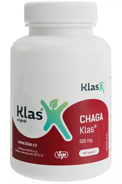CHAGA Klas photo