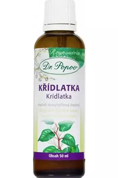 Křídlatka photo