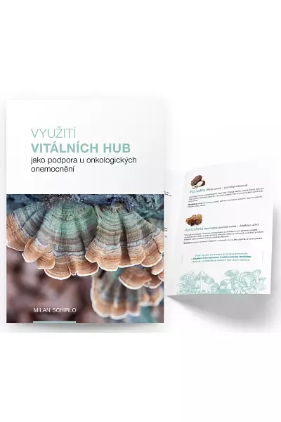 Využití vitálních hub jako podpora u onkologických onemocnění photo