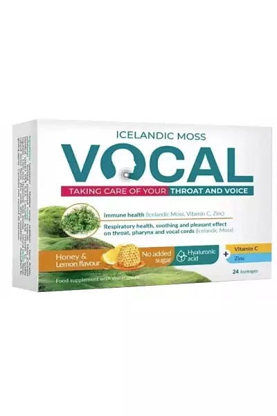 VOCAL photo
