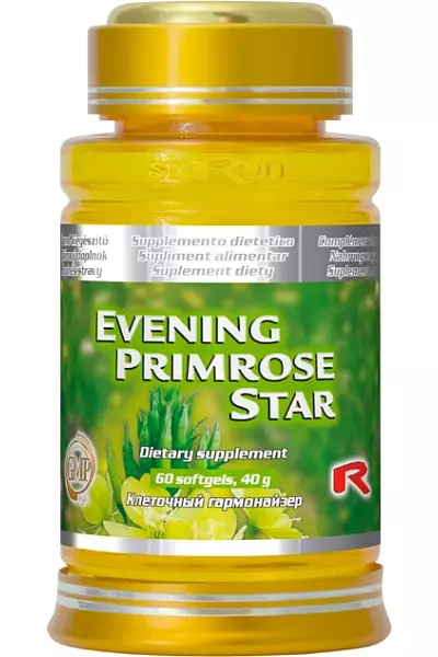 EVENING PRIMROSE STAR photo