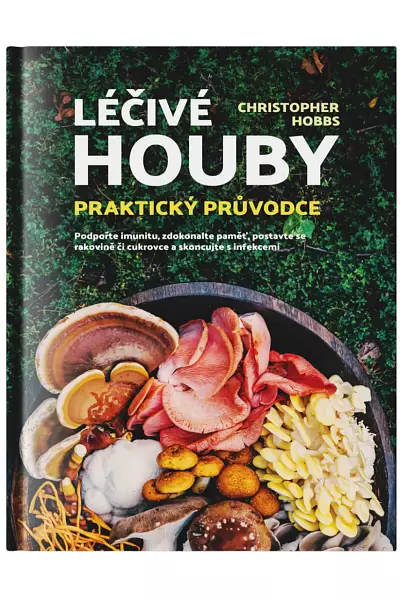 Léčivé houby - praktický průvodce photo