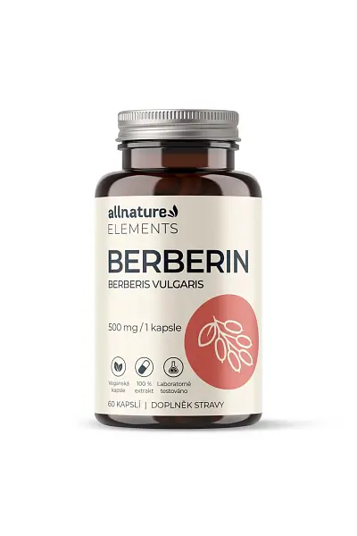 Allnature Elements Berberin 500 mg photo