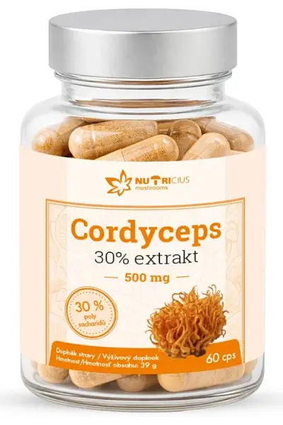 Cordyceps 30% extrakt 500 mg photo