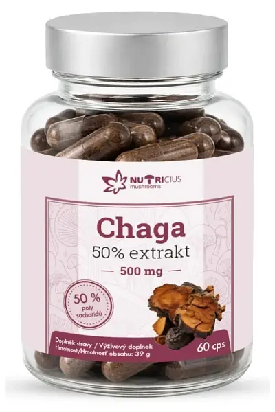 Chaga 50% extrakt 500mg photo