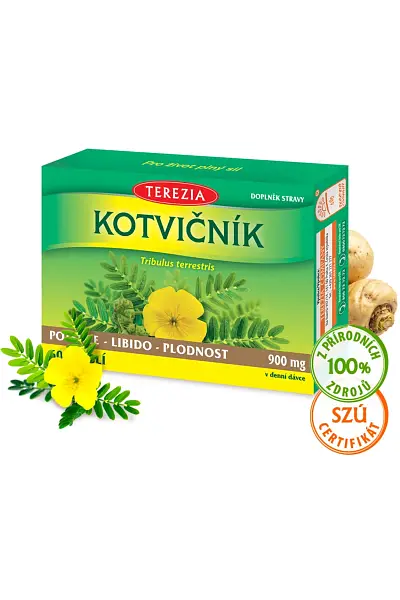 Kotvičník photo