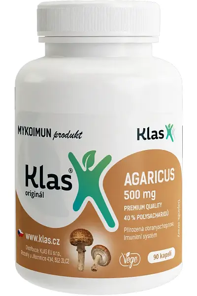 Agaricus photo