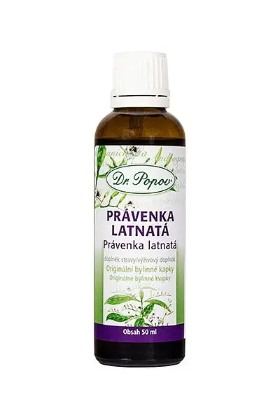 Právenka latnatá, originální bylinné kapky photo