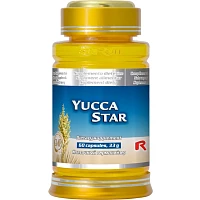 YUCCA STAR foto