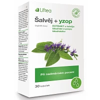 Liftea šalvěj + yzop photo