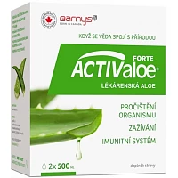 Aloe lékárenská foto