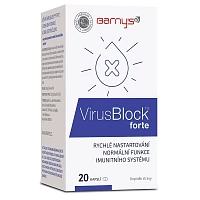 VirusBlock foto