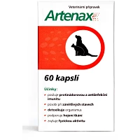 ARTENAX foto
