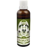 Lopuch – bylinná tinktura photo