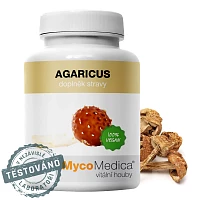Agaricus foto