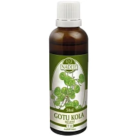 Gotu kola – bylinná tinktura photo