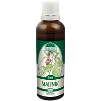 Maliník – tinktura z pupenů foto